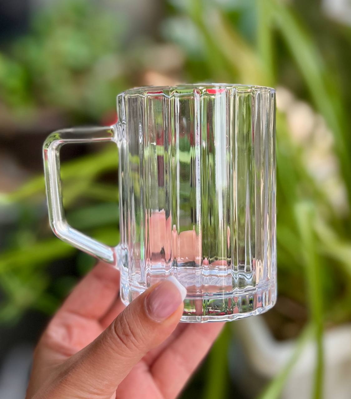 خرید لیوان و ماگ دسته دار ۶ تایی دلی گلس deli glass