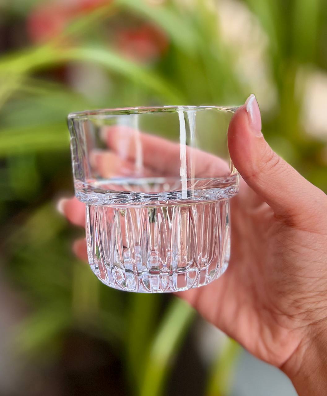 خرید نیم لیوان برند دلی گلس deli glass