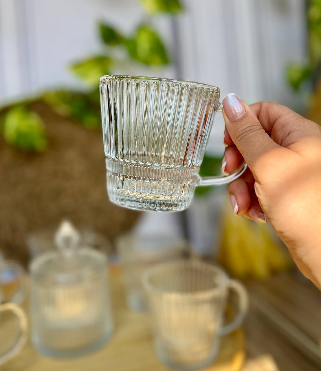 خرید لیوان خط دار ۶تایی دلی گلس deli glass