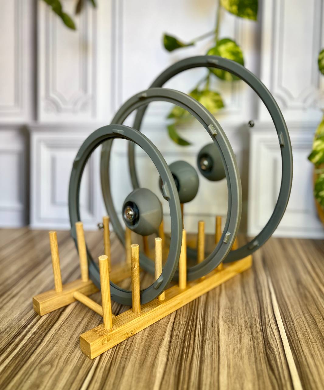 استند و نظم دهنده بشقاب