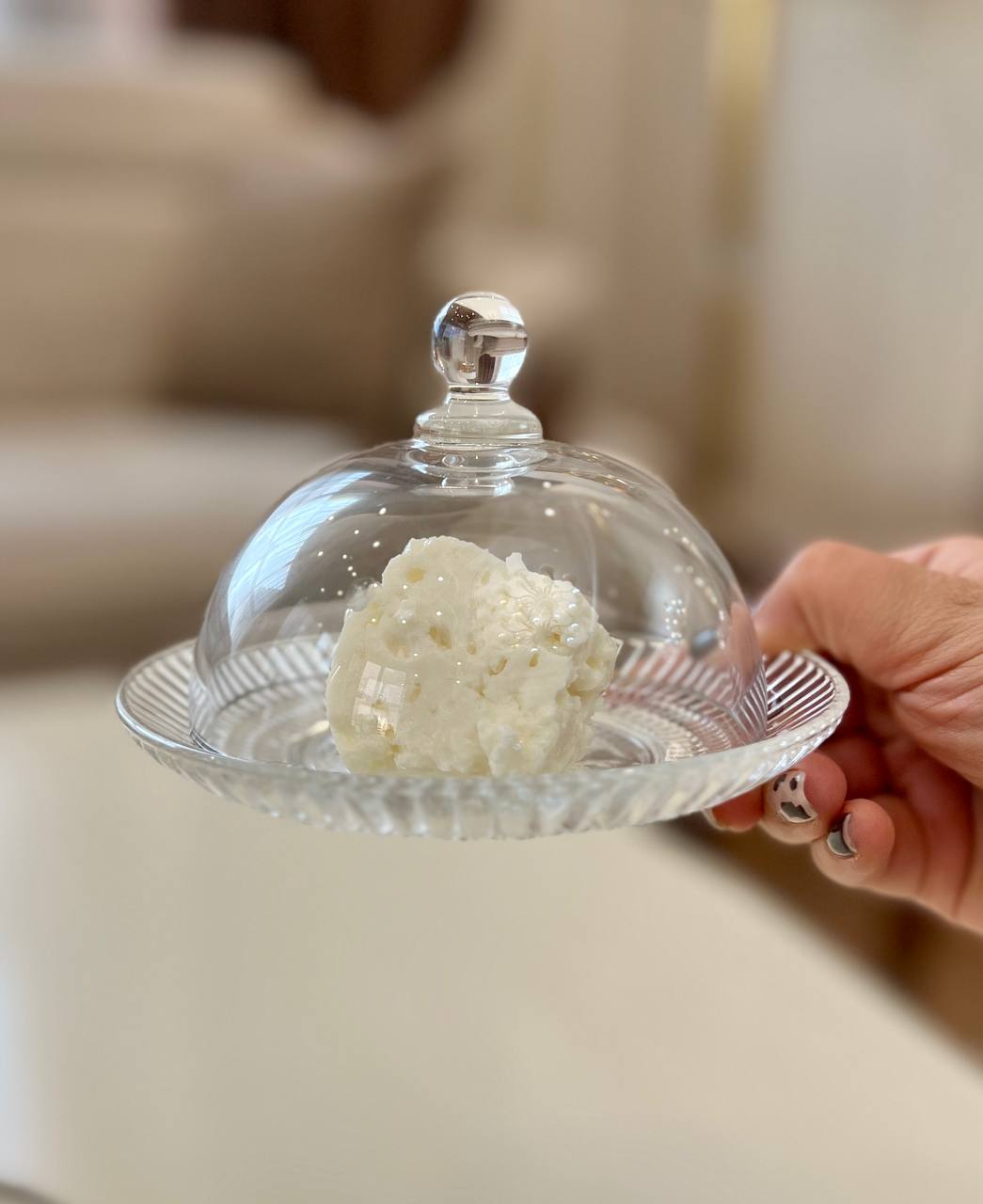 پنیر خوری برند دلی گلس deli glass